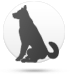 Cane