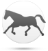 Cavallo
