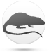 Topo